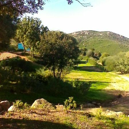 Farm Stay Gli Oleandri Loiri Porto San Paolo Exteriér fotografie