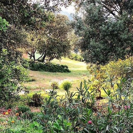 Farm Stay Gli Oleandri Loiri Porto San Paolo Exteriér fotografie