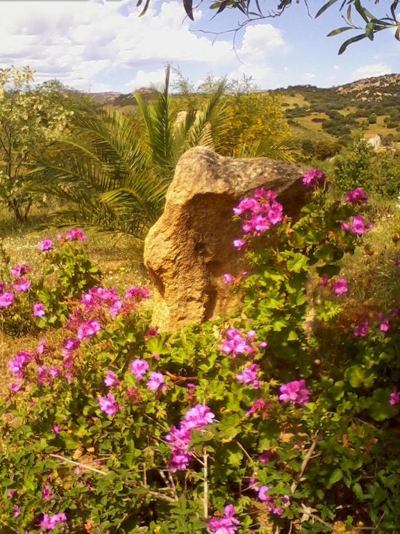 Farm Stay Gli Oleandri Loiri Porto San Paolo Exteriér fotografie