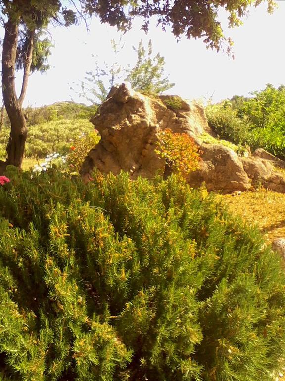 Farm Stay Gli Oleandri Loiri Porto San Paolo Exteriér fotografie