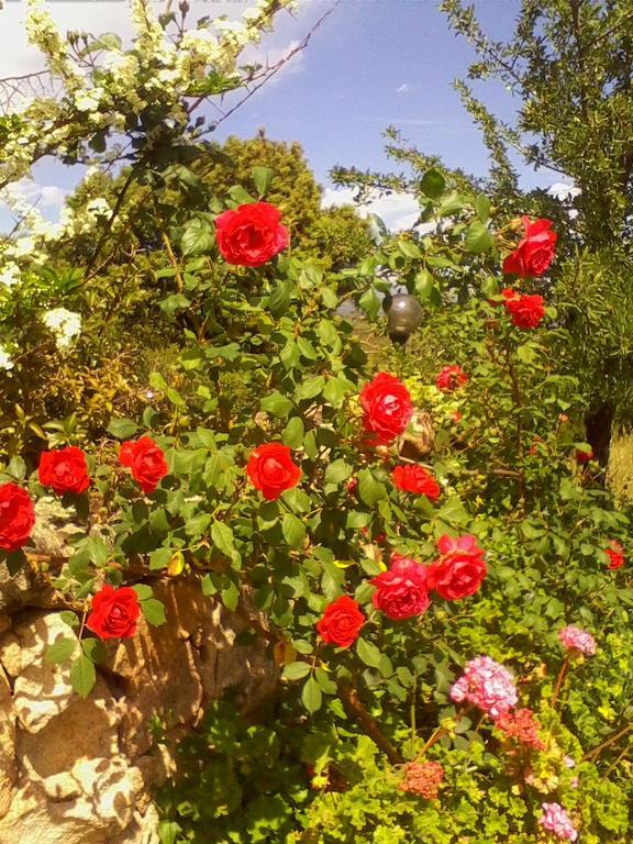 Farm Stay Gli Oleandri Loiri Porto San Paolo Exteriér fotografie