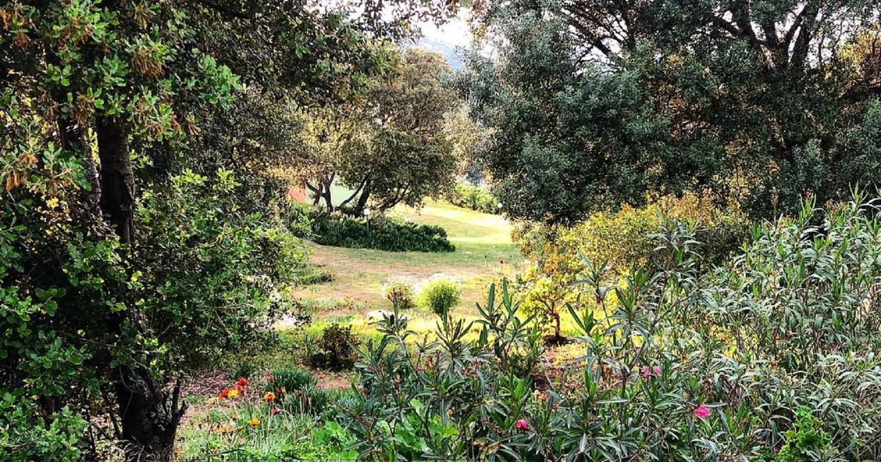 Farm Stay Gli Oleandri Loiri Porto San Paolo Exteriér fotografie