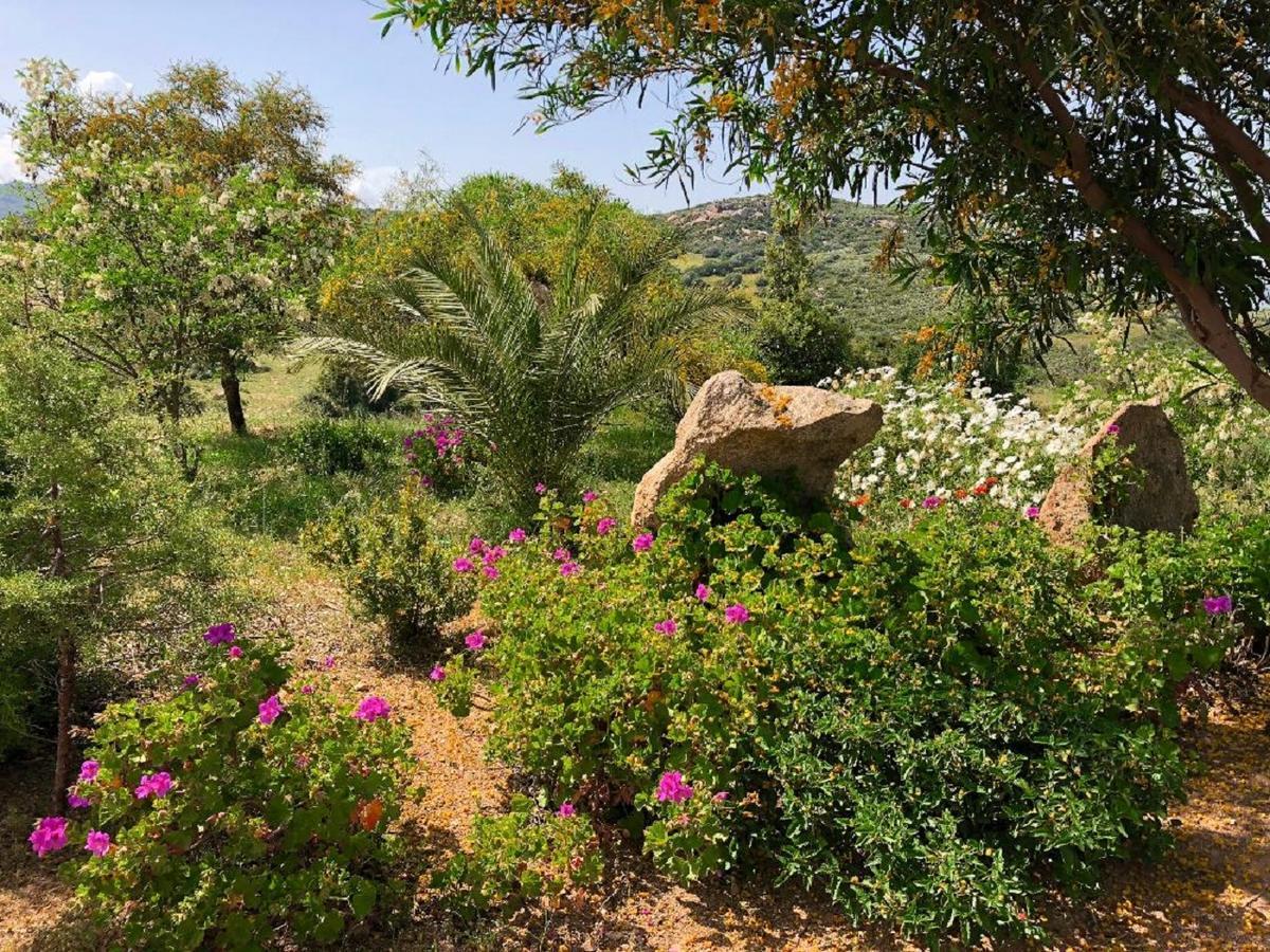 Farm Stay Gli Oleandri Loiri Porto San Paolo Exteriér fotografie