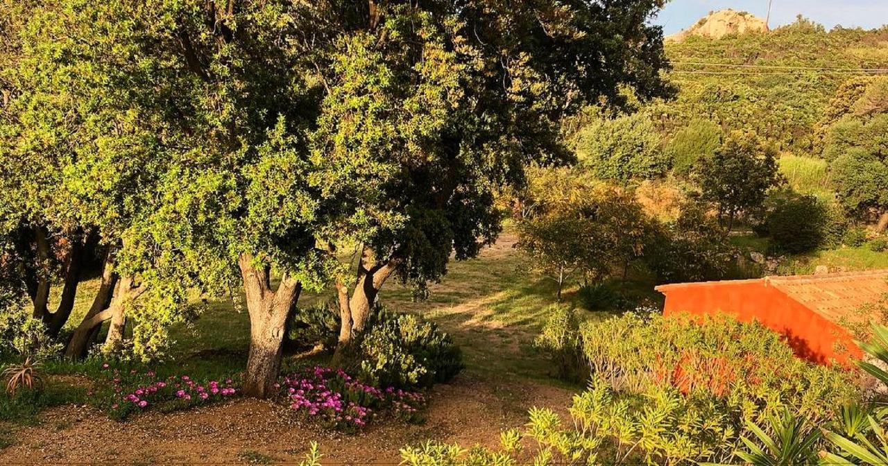 Farm Stay Gli Oleandri Loiri Porto San Paolo Exteriér fotografie