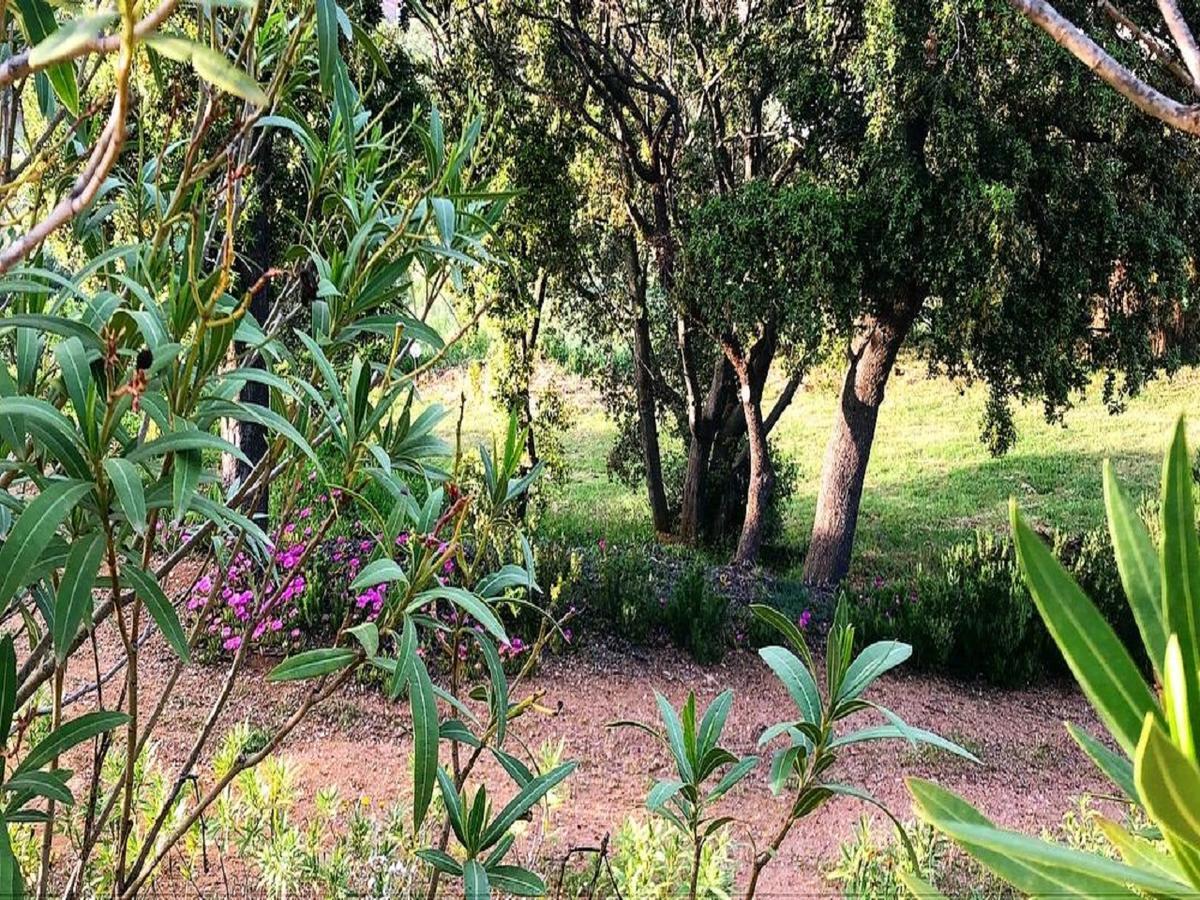 Farm Stay Gli Oleandri Loiri Porto San Paolo Exteriér fotografie