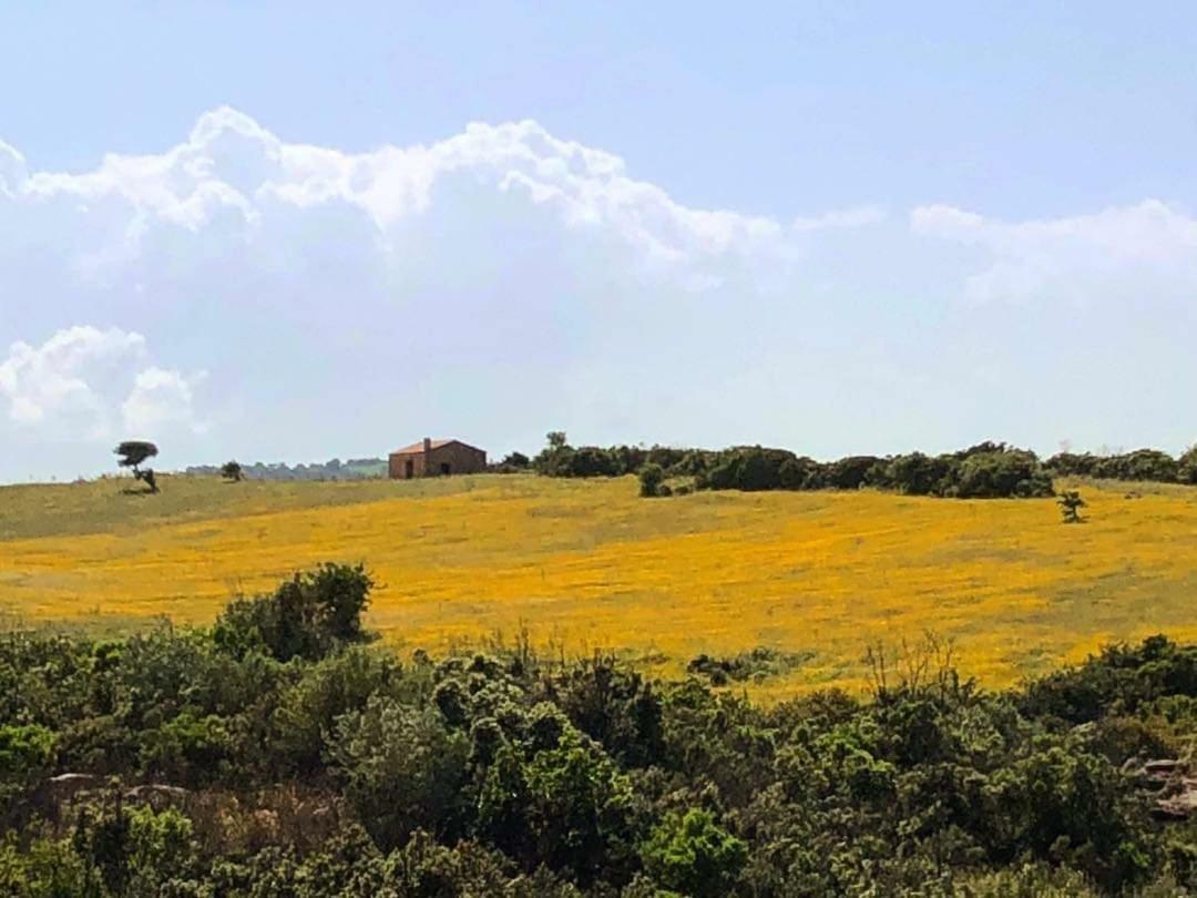 Farm Stay Gli Oleandri Loiri Porto San Paolo Exteriér fotografie